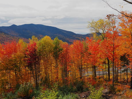 Lincoln New Hapshire fall colors #6