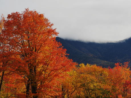 Lincoln New Hapshire fall colors #7