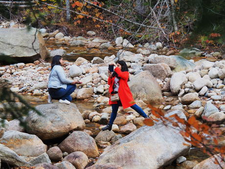 Photographing the fall colors #2