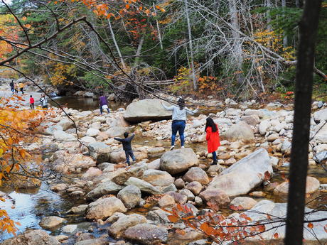 Enjoying the fall day