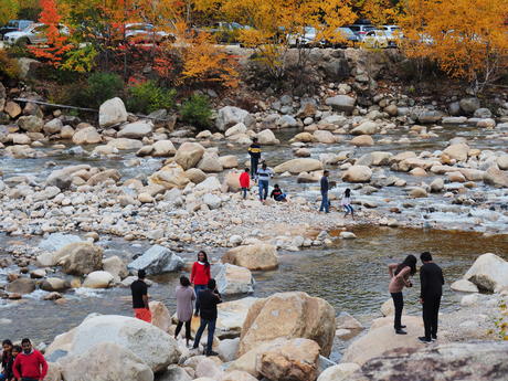 Enjoying the fall day #2