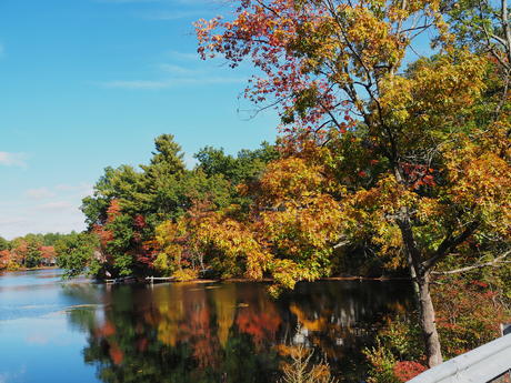 Ayer Massachusetts fall colors #4
