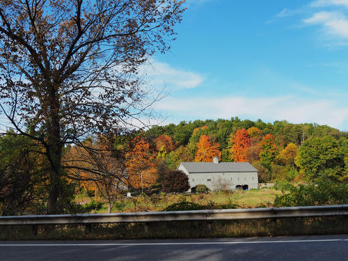 Groton Massachusetts fall colors #2