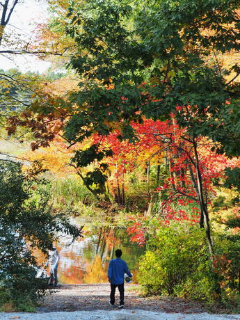 End of fishing for the day