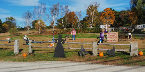 Springdell farms pumpkin decorating contest