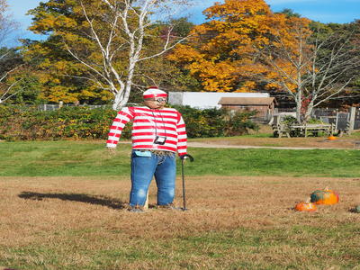 Springdell farms pumpkin decorating contest #3