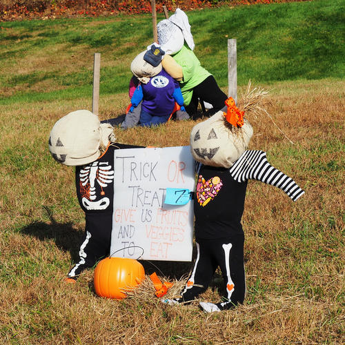 Springdell farms pumpkin decorating contest #5