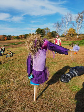Springdell farms pumpkin decorating contest #10