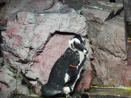 You look rather suspicious