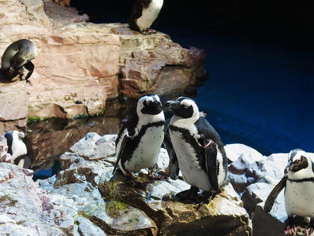 What's the latest gossip?