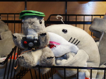 Watch out for land sharks!