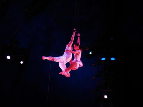 Aerialists