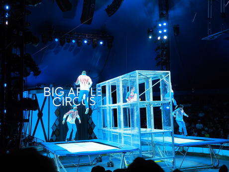 Bouncing acrobats #3