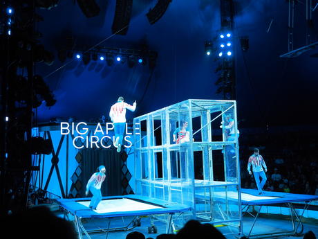 Bouncing acrobats #4