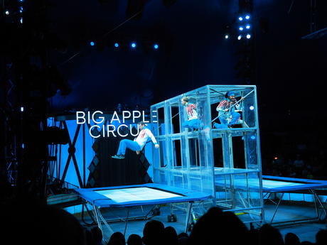 Bouncing acrobats #5