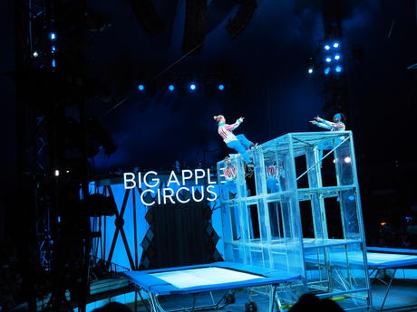 Bouncing acrobats #6