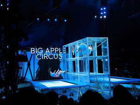 Bouncing acrobats #7