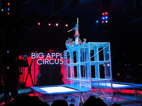 Bouncing acrobats #8