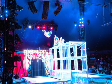 Bouncing acrobats #9