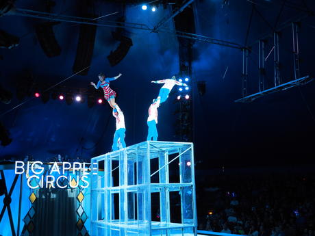 Bouncing acrobats #10