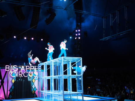 Bouncing acrobats #11