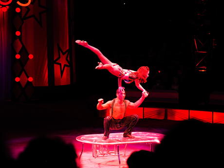 Acrobats #6