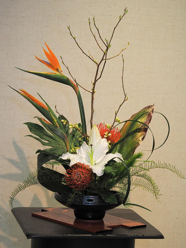 Ikenobo by Wendy Folmer #2