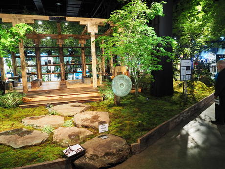 Boston Flower Show #10