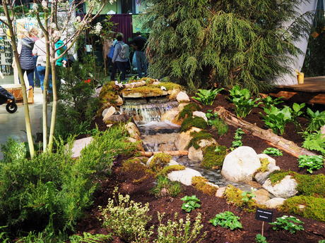 Boston Flower Show #11