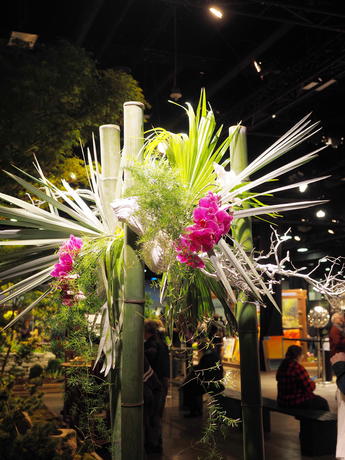 Boston Flower Show #13