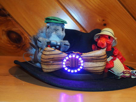 Nutso the squirrel, Snap the dragon, and my LED bowtie