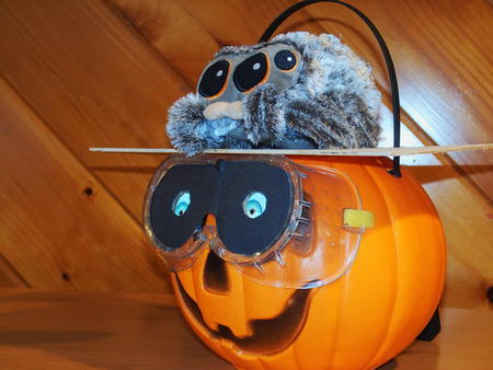 Uncanny eyes pumpkin with Lucas the spider