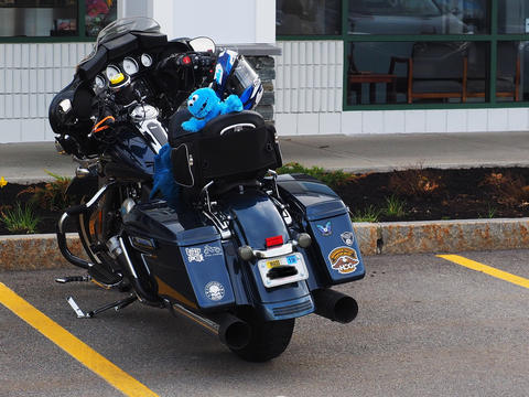 Cookie monster needs a ride