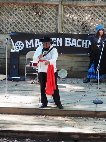 The King Serpent Variety Troupe #11