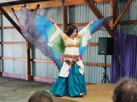 The Shimmynannigans #4