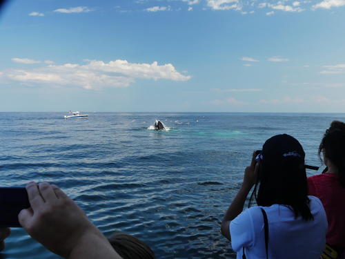 Capturing the moment