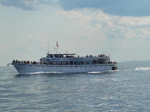 Cape Ann whale watch boat