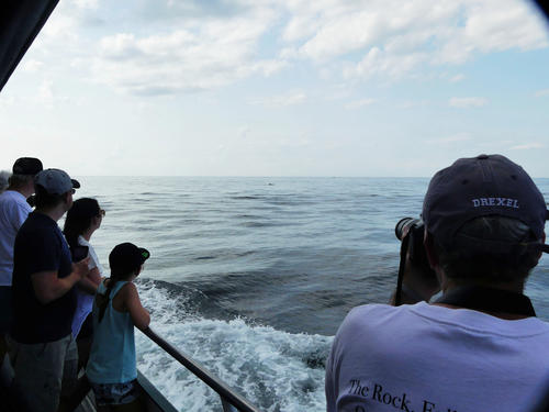 Capturing the moment #3