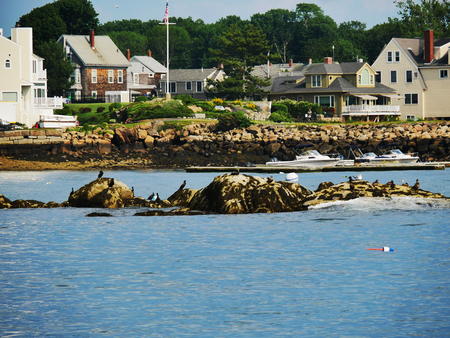 Gloucester harbor #2