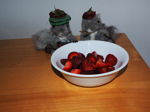 Strawberry Squirrels Forever #2