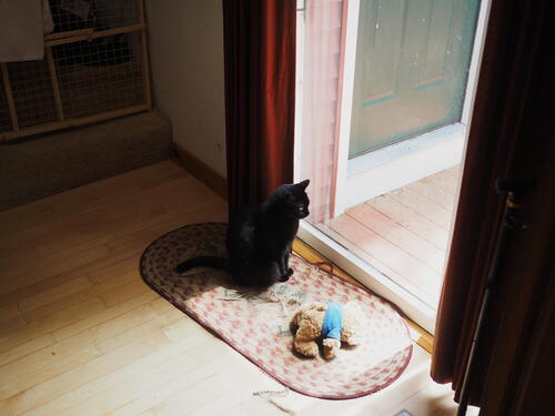 Outdoors looks interesting....