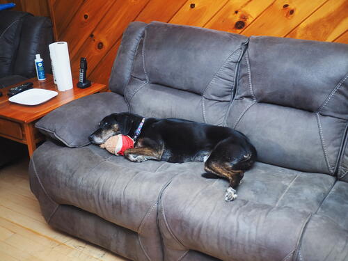 Sophie and Chrisy bear