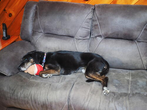 Sophie and Chrisy bear #2