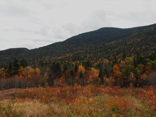 Kancamagus Scenic Byway #8