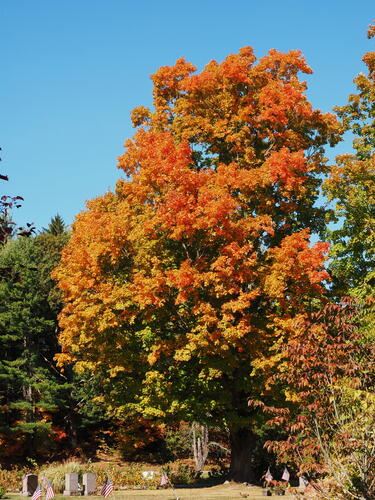 Fall in West Parish Garden Cemetery, Andover, MA #12