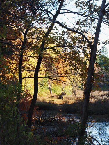 Littleton fall #3