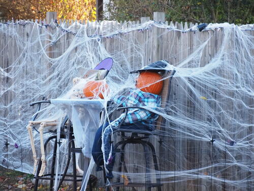 Spiders and pumpkins