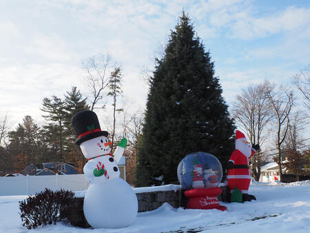 Christmas decorations #3