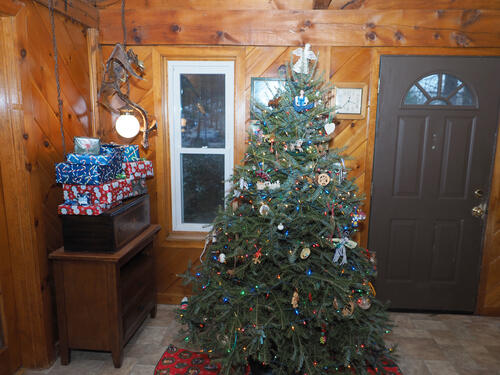 Christmas tree and presents