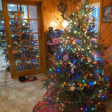 Christmas trees and presents